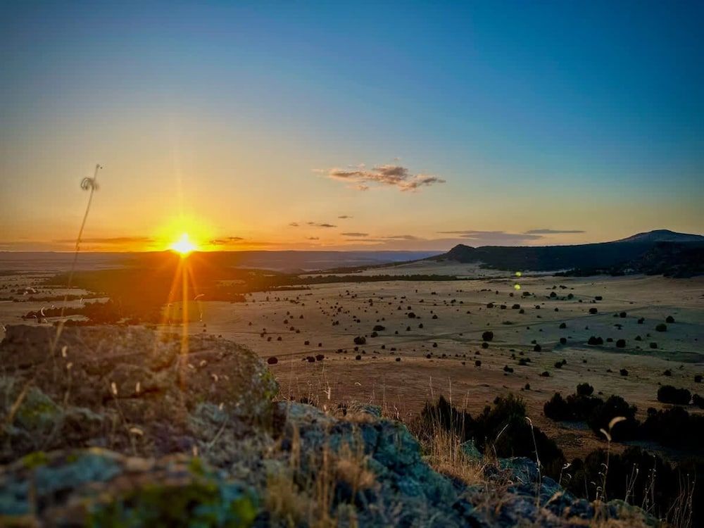 Franklin Fab Gallery House House 26