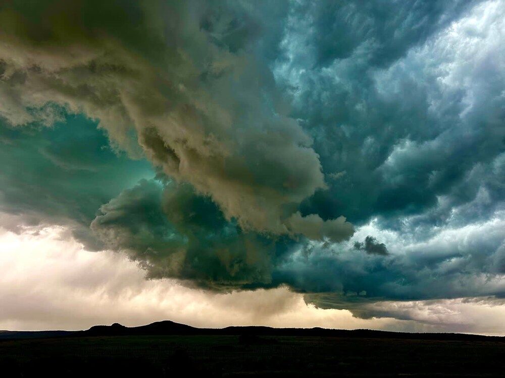 Franklin Fab Gallery House House 31