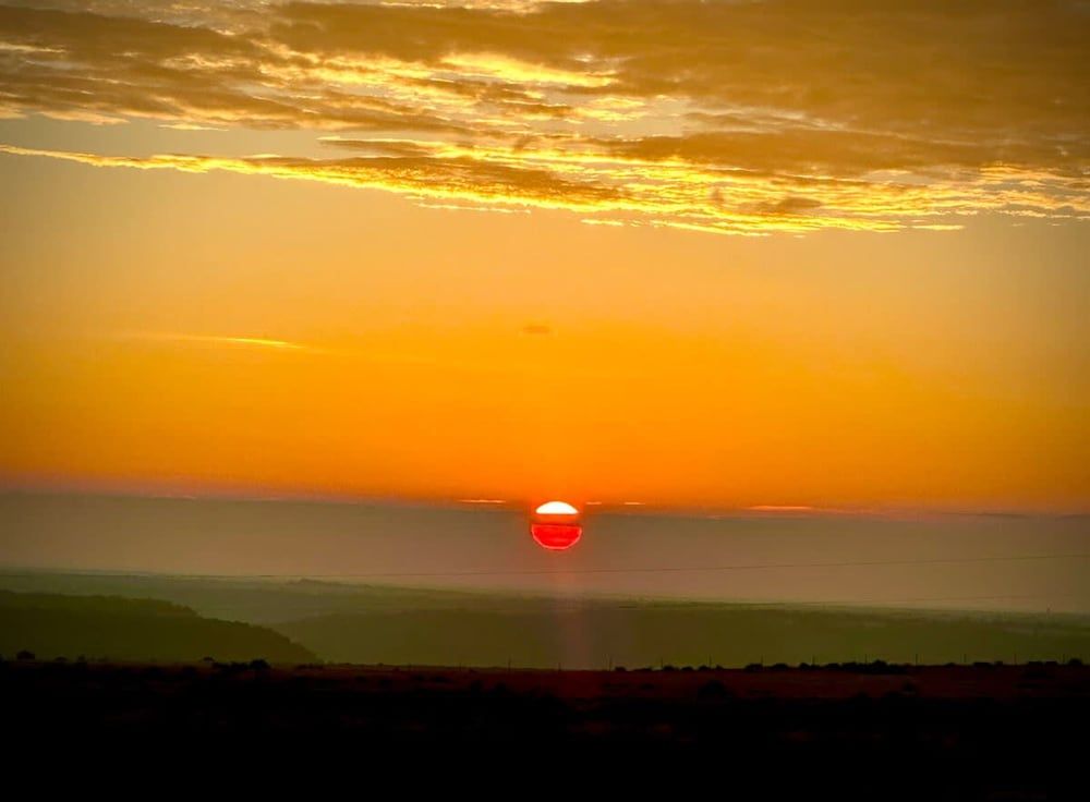 Franklin Fab Gallery House House 24