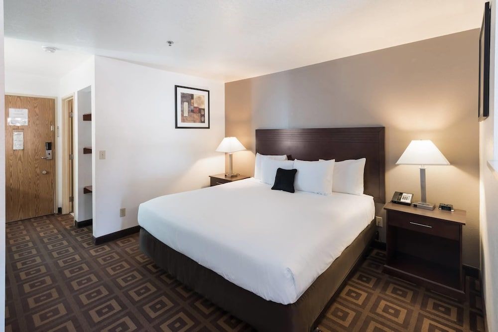 Suite, 1 King Bed with Sofa bed, Non Smoking