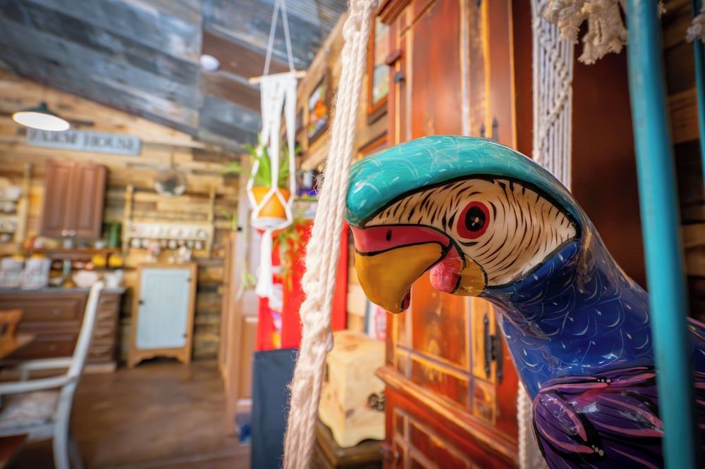 Hermann Grain Bins BNB Chicken Run 22