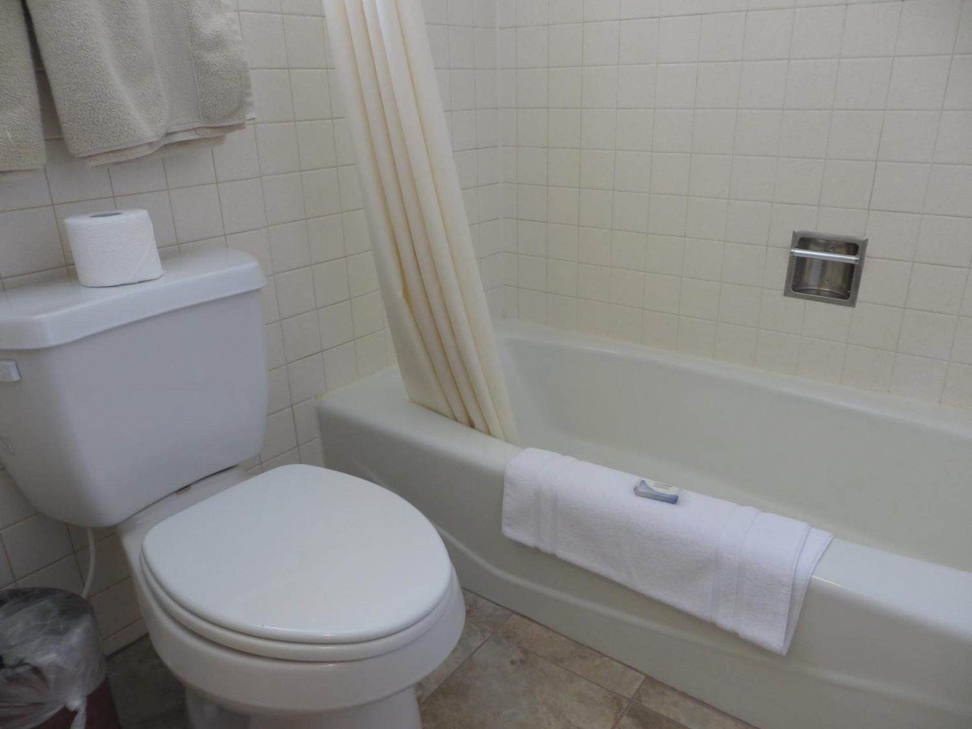 Bristlecone Motel Family Double Room