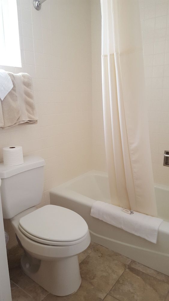 Bristlecone Motel Standard Single Room, 1 Queen Bed 5