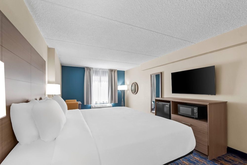 Standard Room, 1 King Bed with Sofa bed, Non Smoking