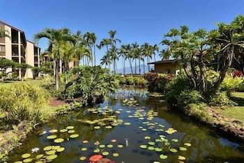 Papakea H107 1 bedroom, 1 bath OceanView 1 Condo by RedAwning Condo, 1 Bedroom 30