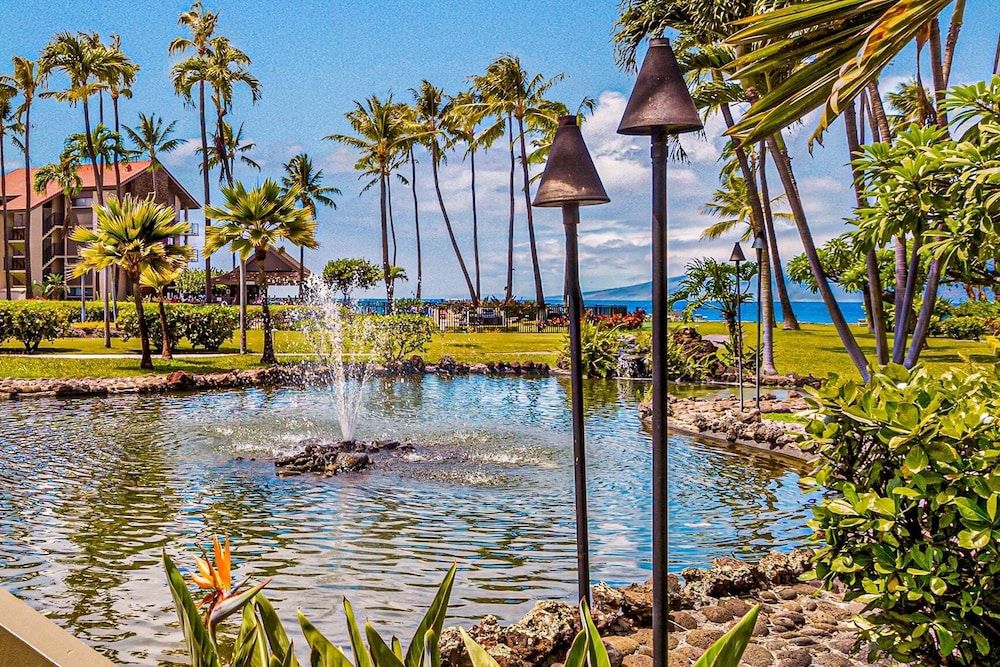 Papakea H107 1 bedroom, 1 bath OceanView 1 Condo by RedAwning Condo, 1 Bedroom 25