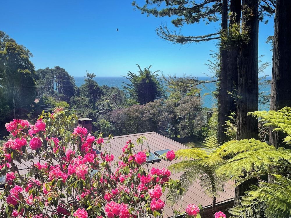 Rendezvous Mendocino Evergreen Studio 7