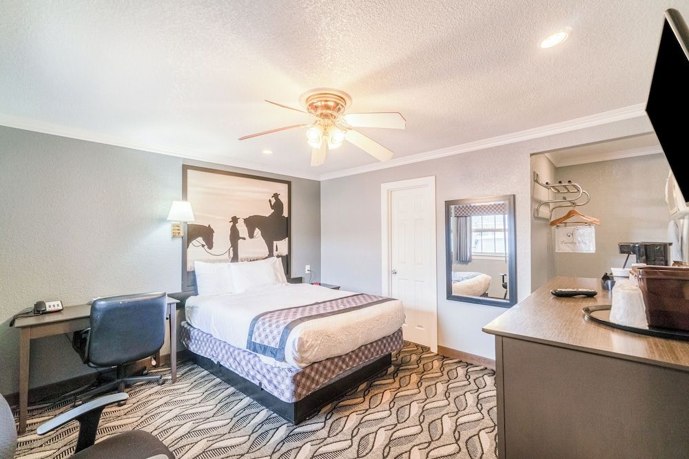 Purple Sage By OYO Snyder TX Room, 1 Queen Bed, Non Smoking 11