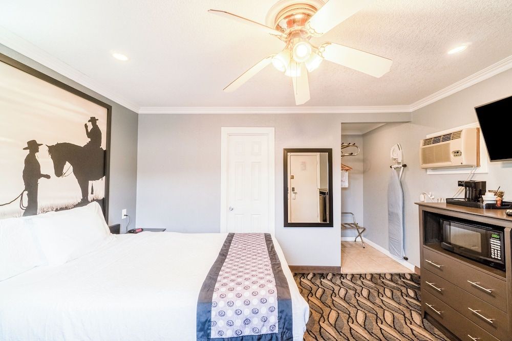 Purple Sage By OYO Snyder TX Room, 1 Queen Bed, Non Smoking 3