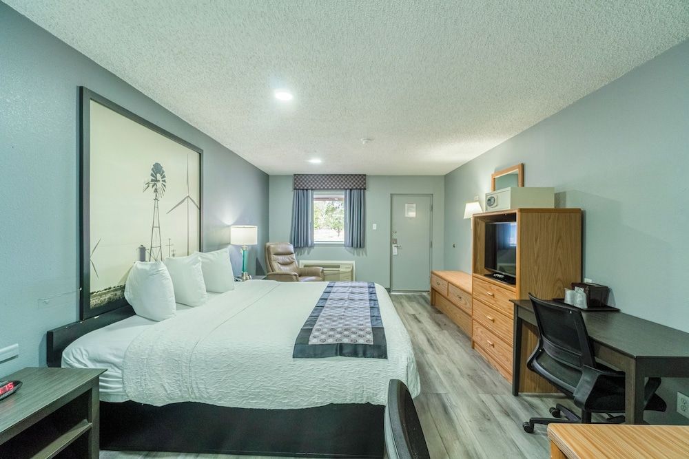 Purple Sage By OYO Snyder TX Room, 1 King Bed, Accessible, Non Smoking 6