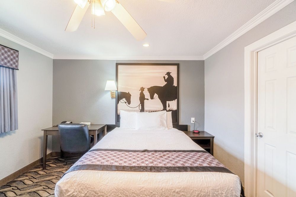 Purple Sage By OYO Snyder TX Room, 1 Queen Bed, Non Smoking 7