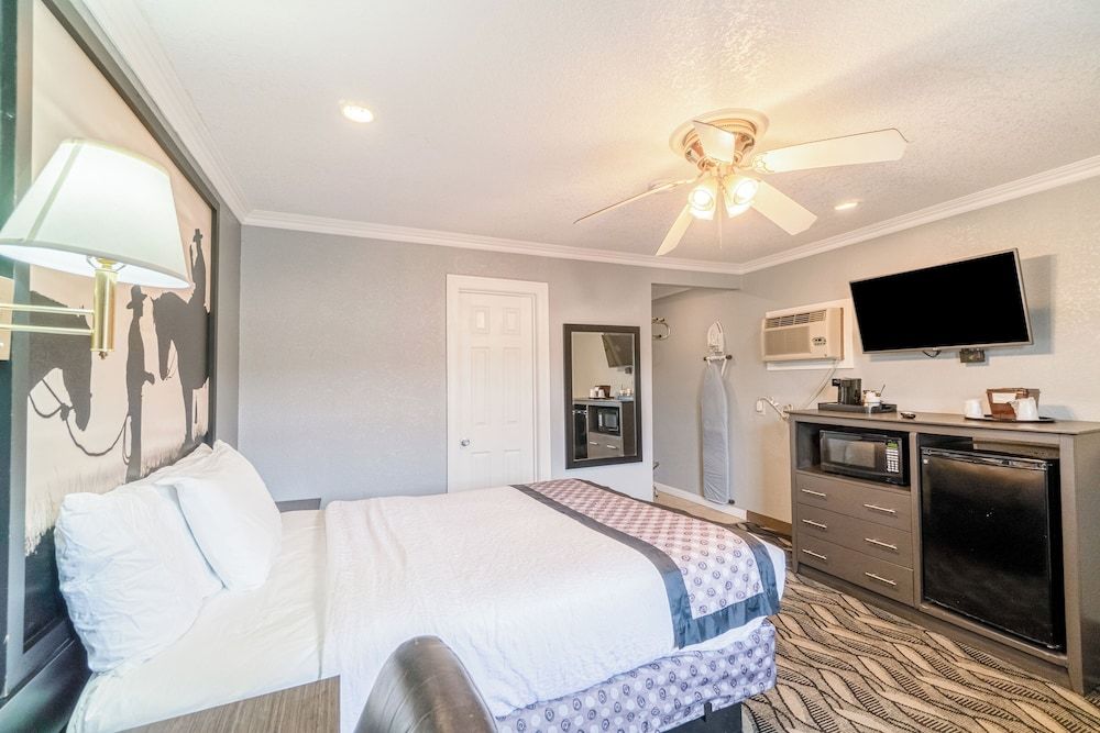 Purple Sage By OYO Snyder TX Room, 1 Queen Bed, Non Smoking 2