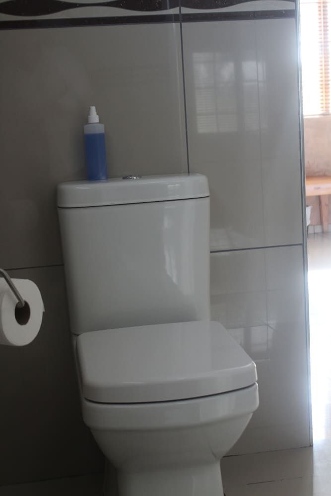 Falcon Guesthouse Double or Twin Room, Garden View 10