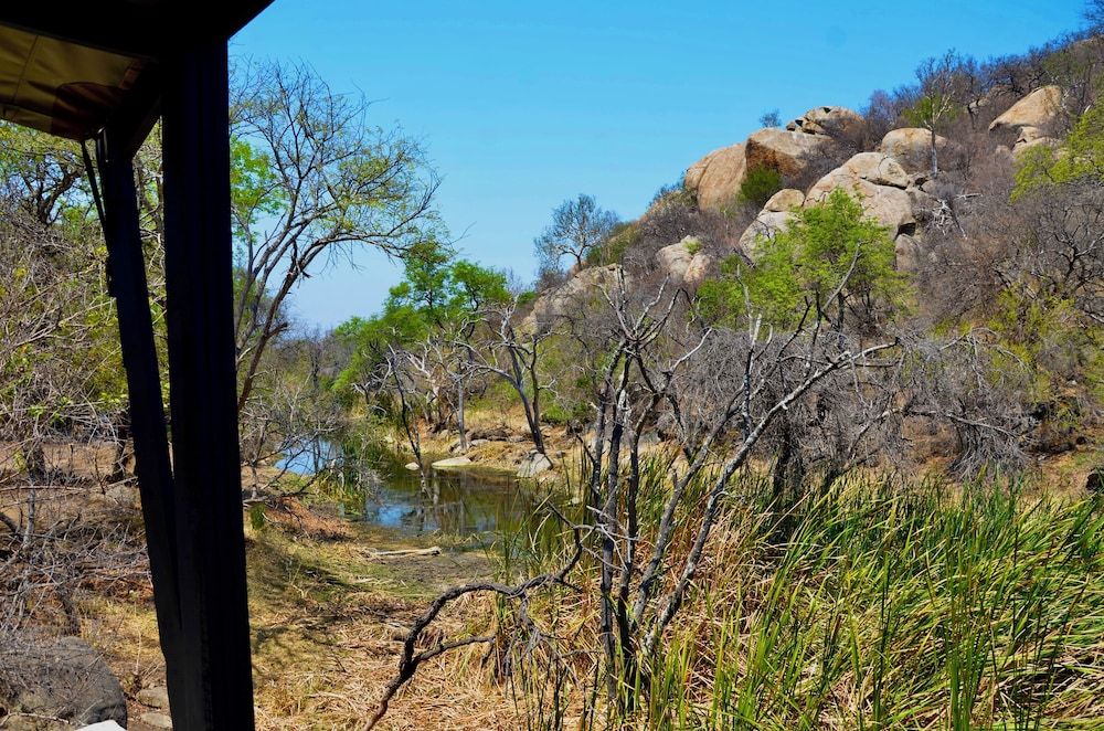 Timbila Game Lodge Luxury Tent, Lake View 4