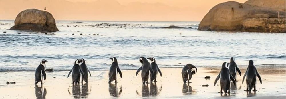 Children's Play Area