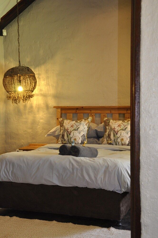 Grincourt Basic Suite 19