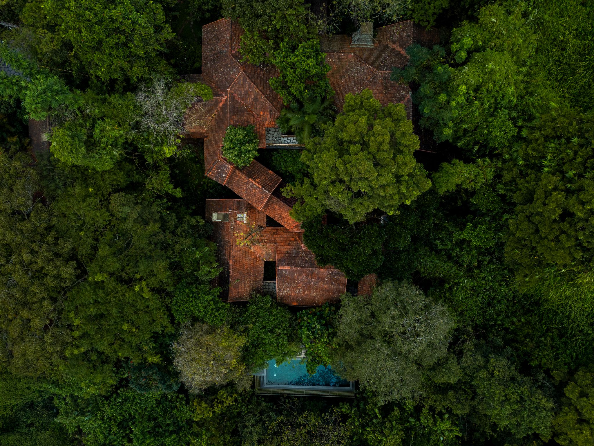 Avana Holiday Experiences,Wayanad Villa 6