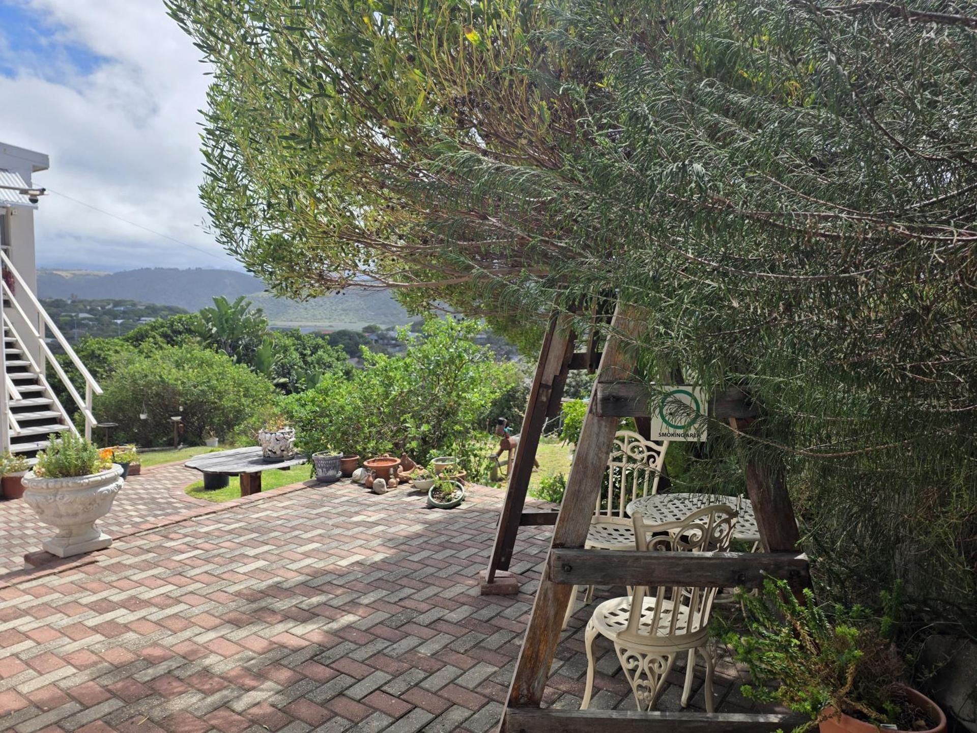 King Room with Mountain View