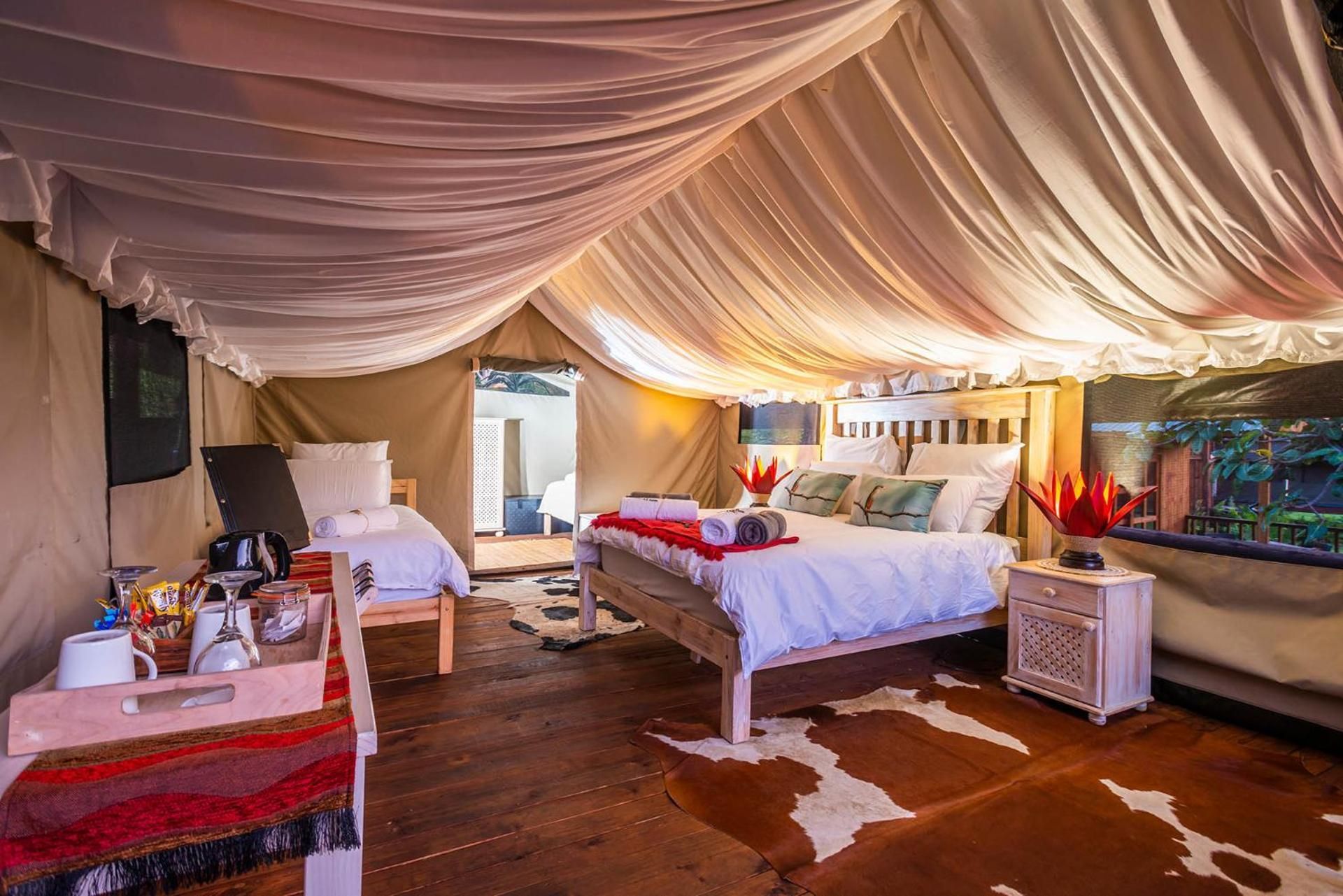 Tent - Kingfisher