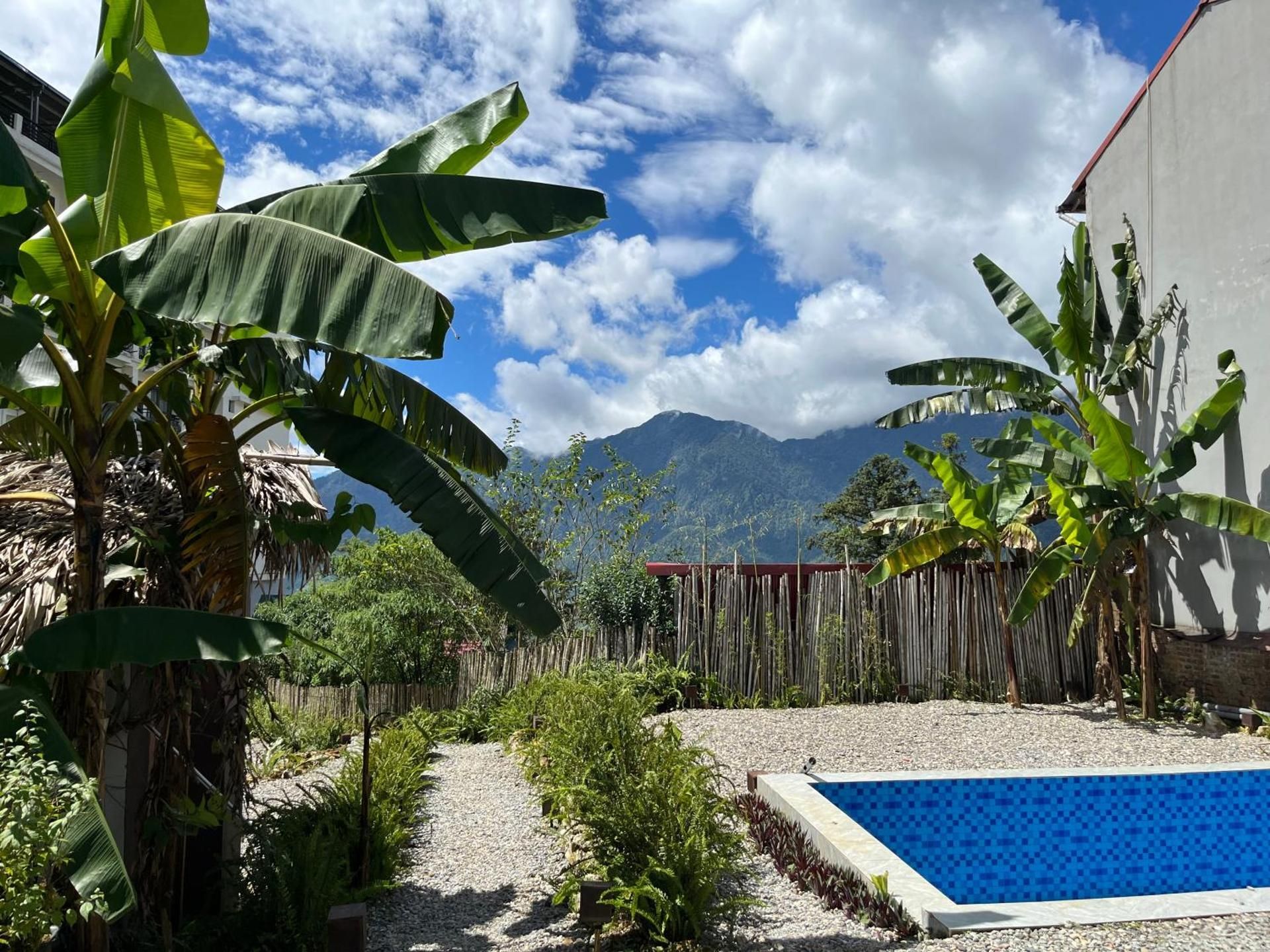 surrounding environment