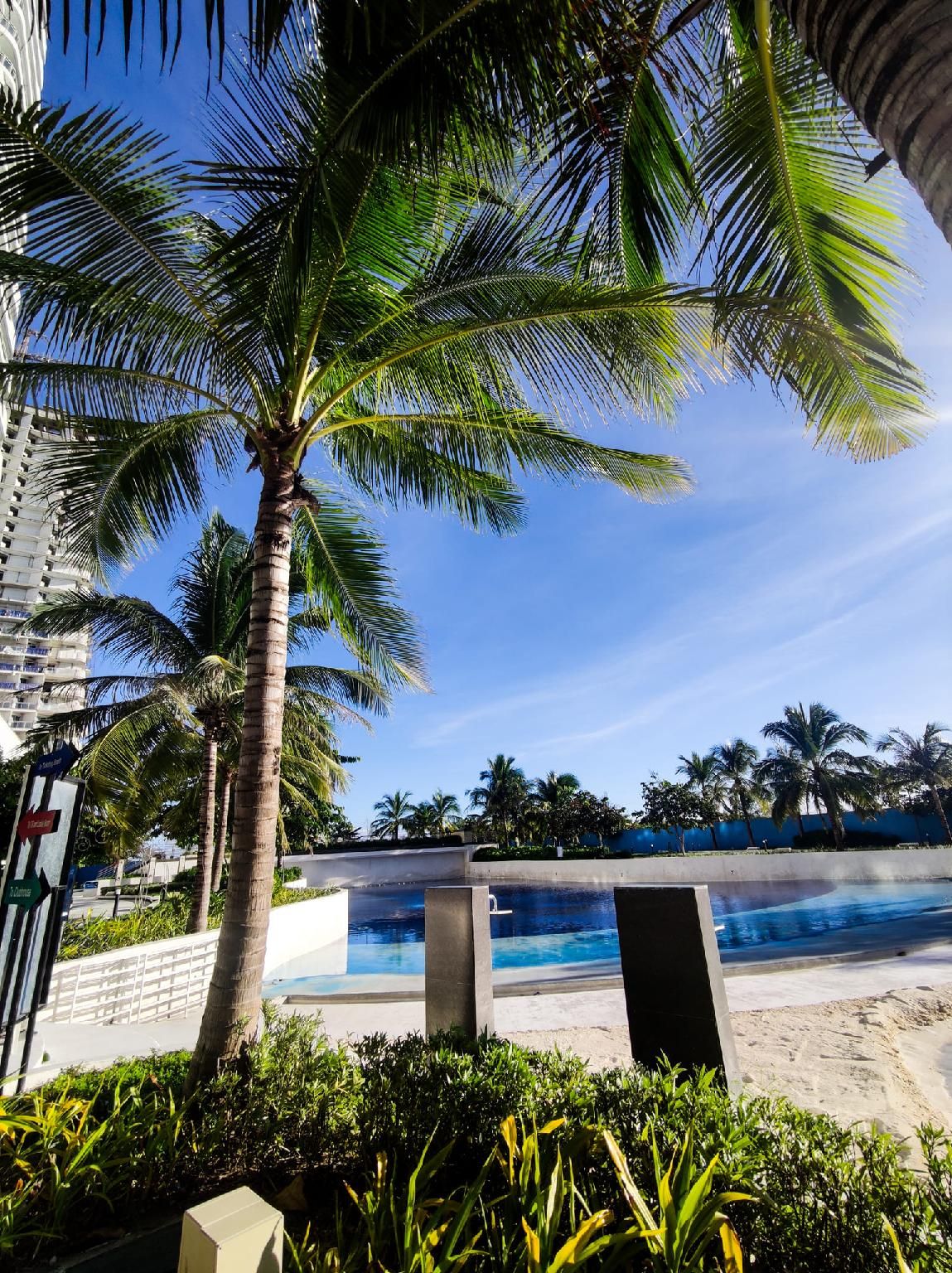 swimming pool [outdoor]