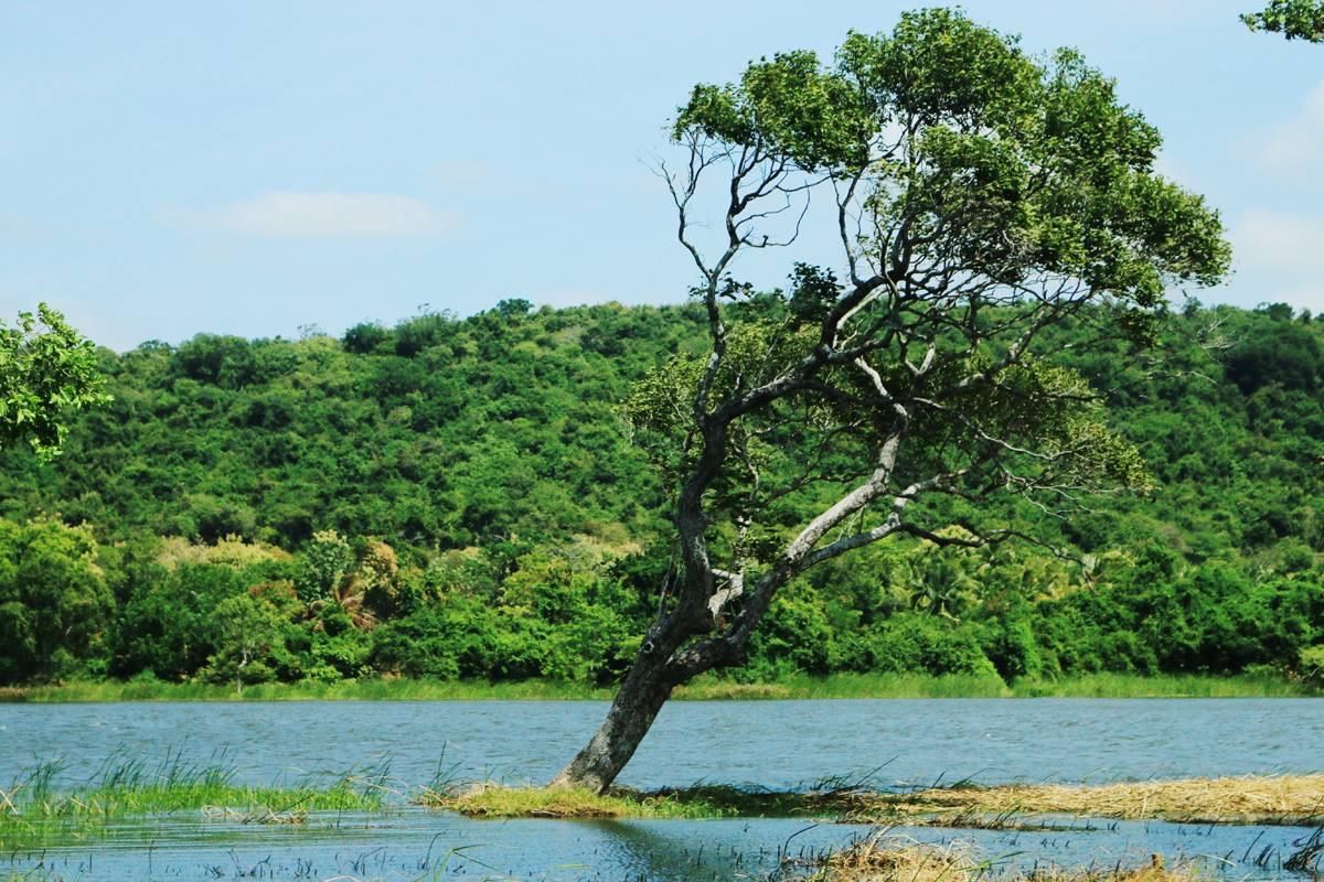 Athena Lake by Seedevi