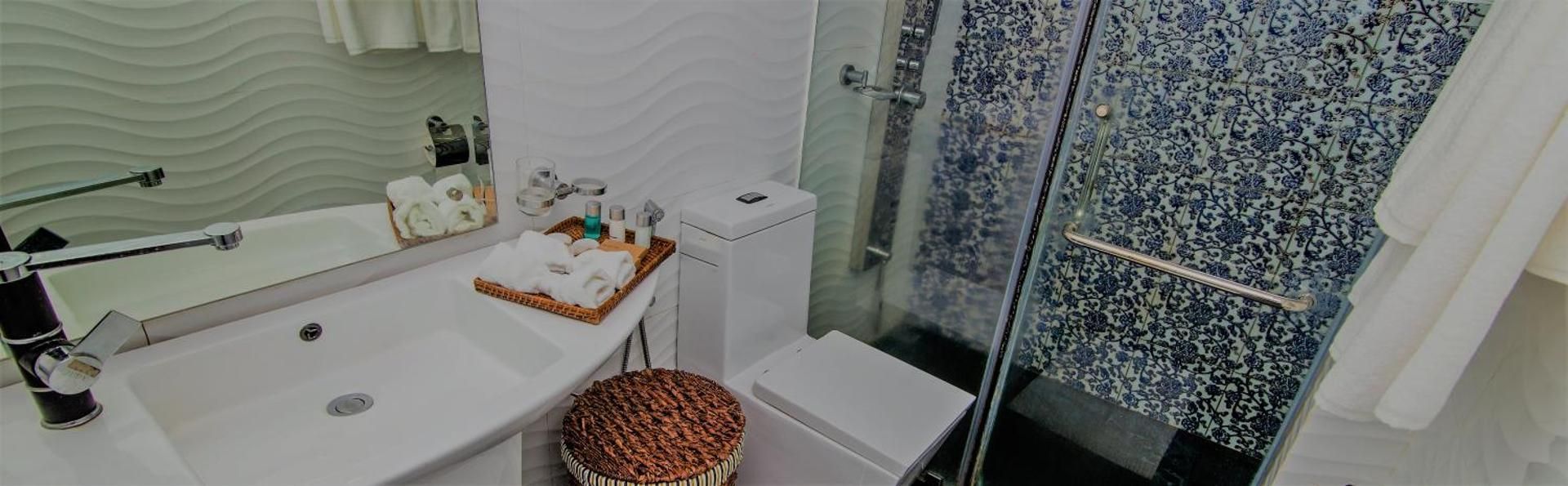 Deluxe Double or Twin Room with Mountain View