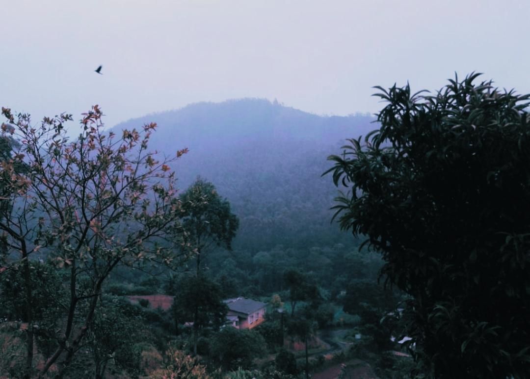 Horton Mountain  Double Room 2