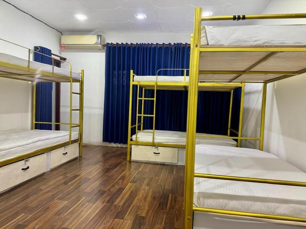 Bunk Bed in Mixed Dormitory Room