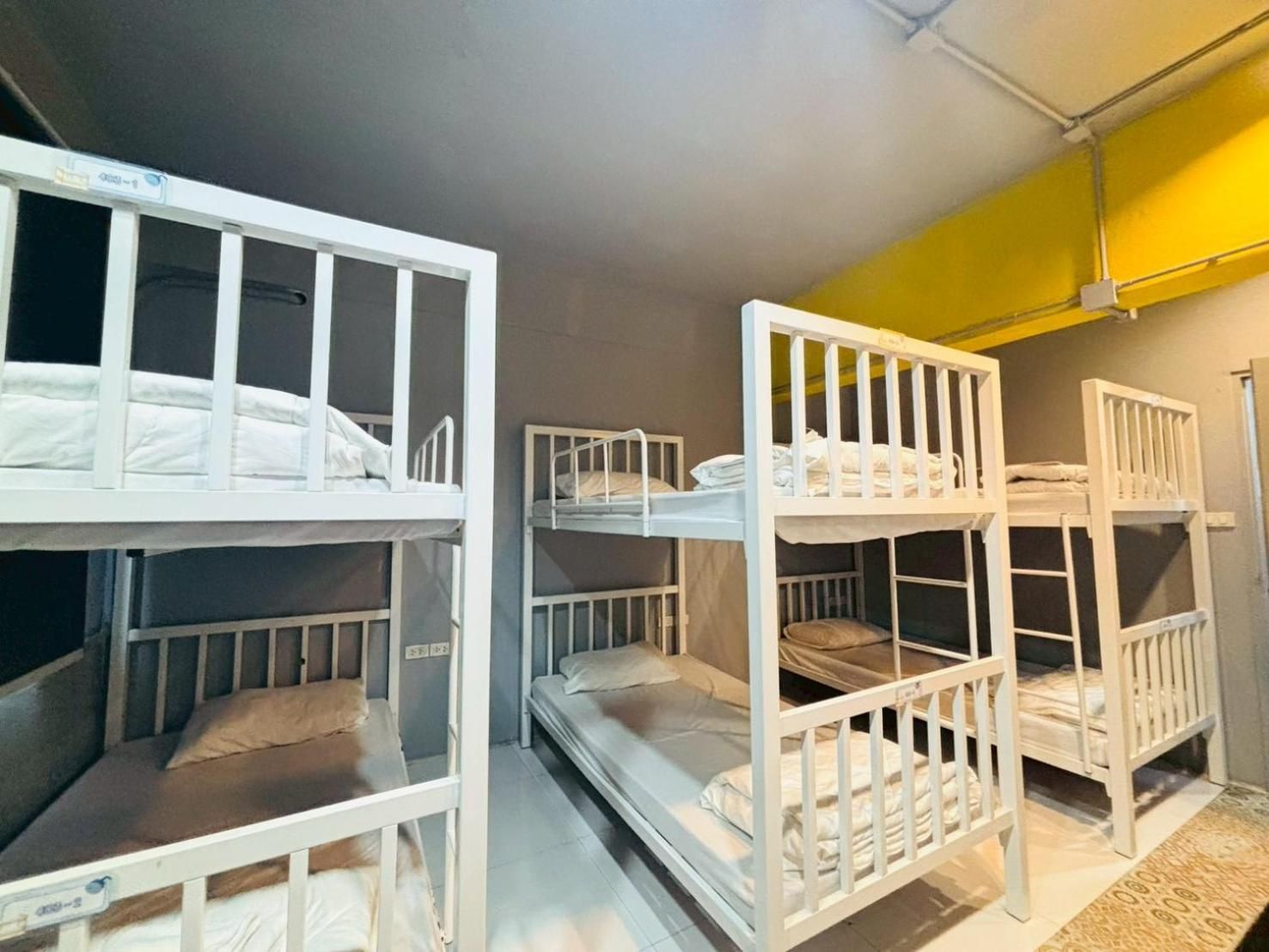Bunk Bed in Mixed Dormitory Room