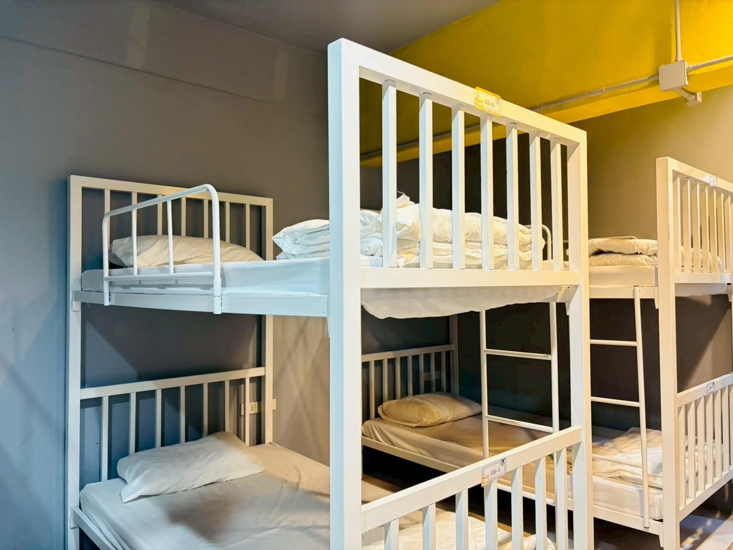 Bunk Bed in a Mixed Dormitory
