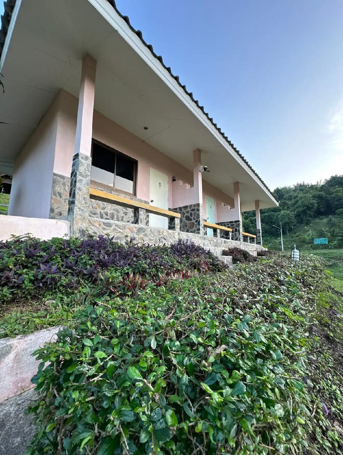 Garden View Room with Terrace