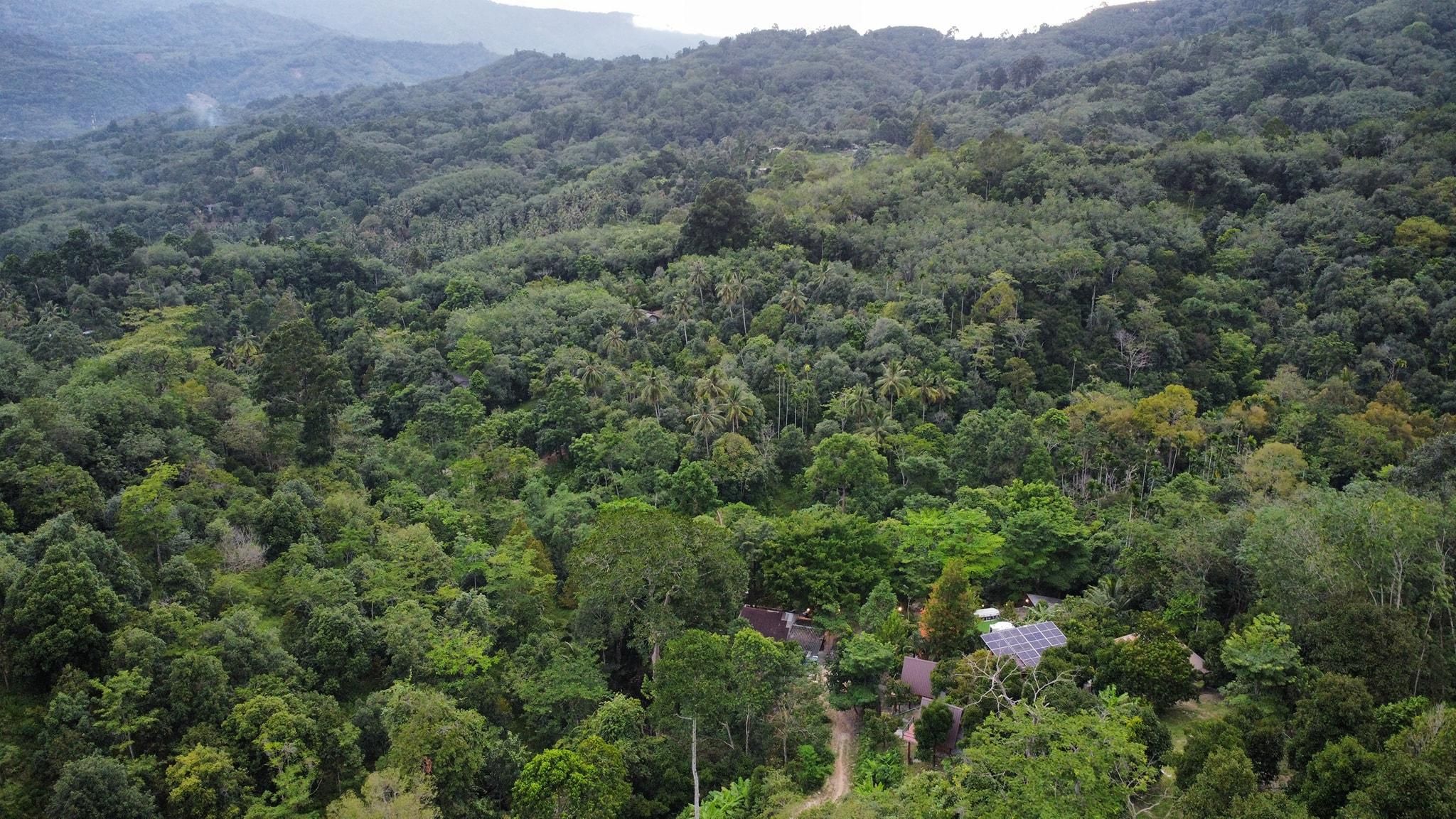 The BED Forest Camp  เดอะเบด ฟอเรสแค้มป์ ลานสกา