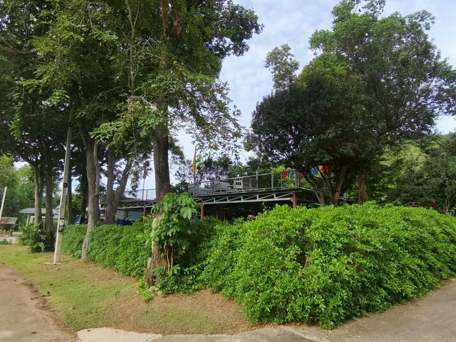 surrounding environment