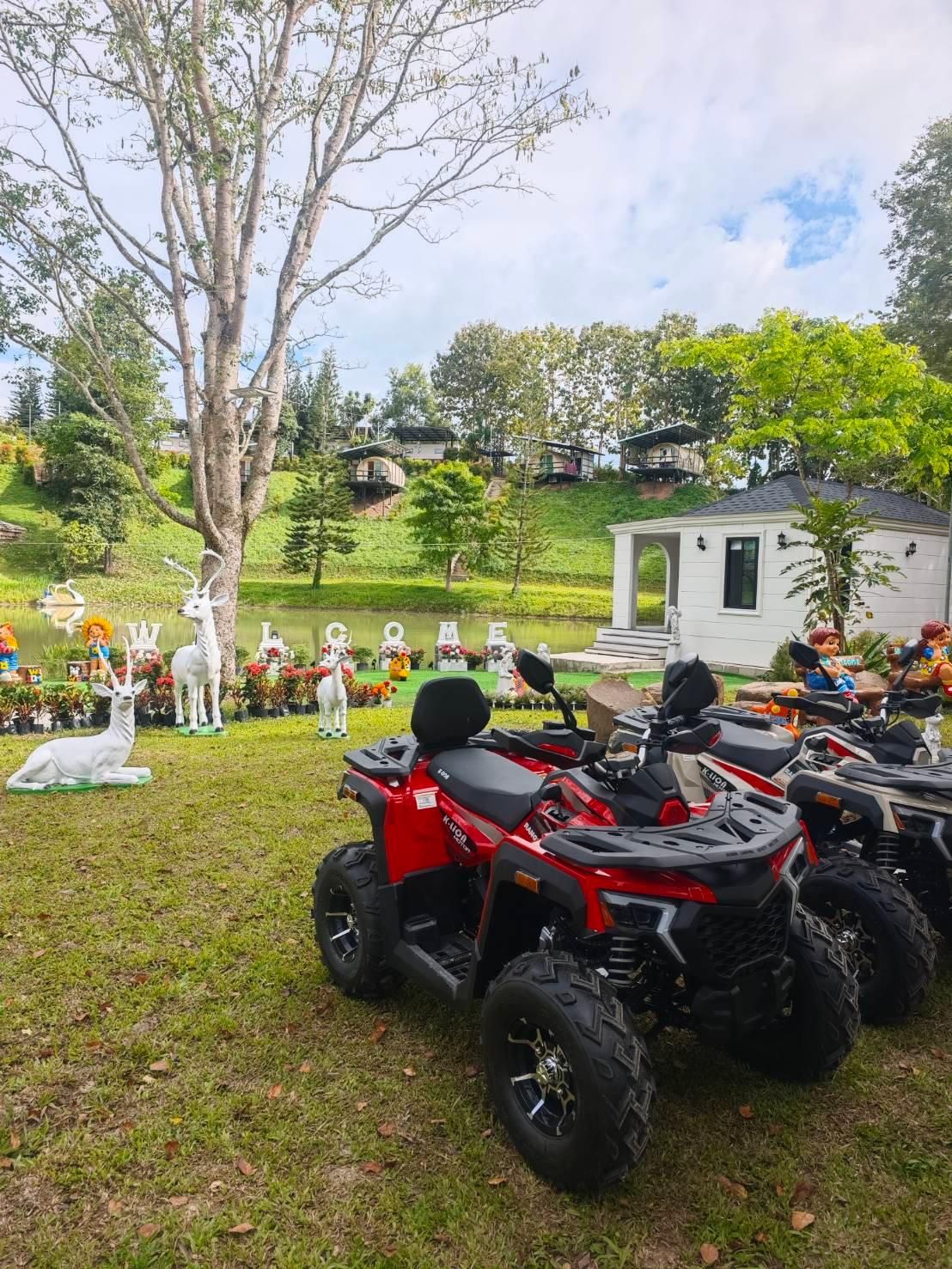 sports and activities