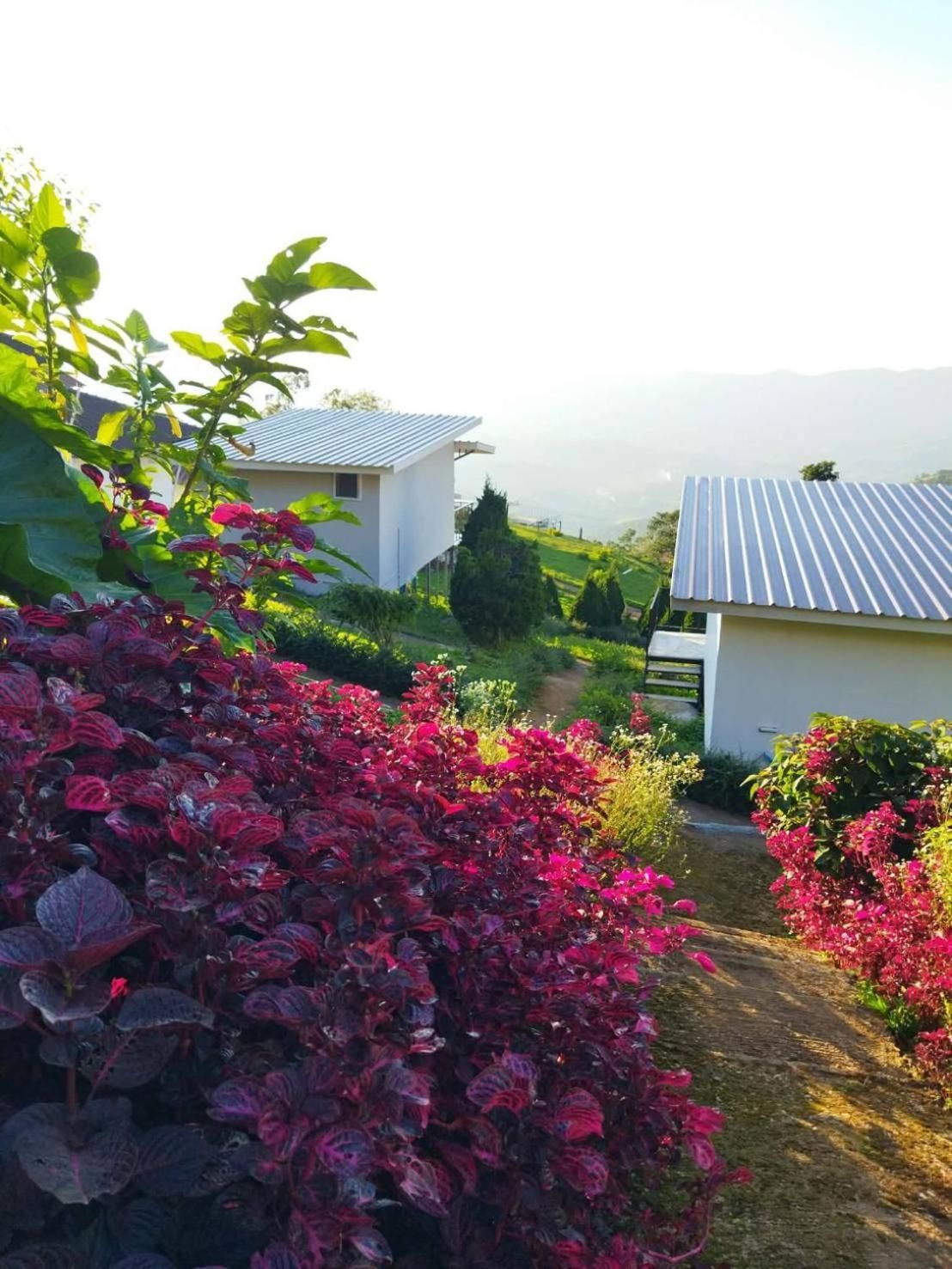 Double Room with Mountain View