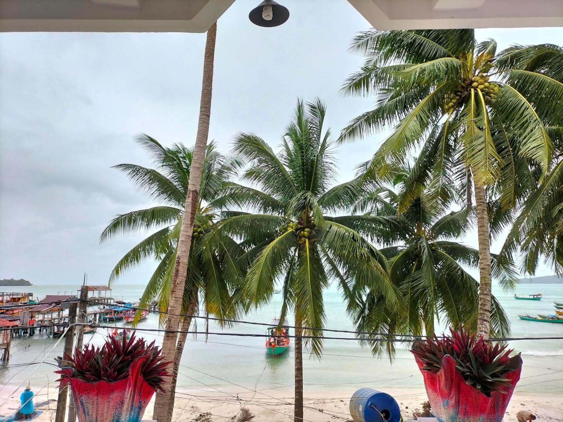 surrounding environment