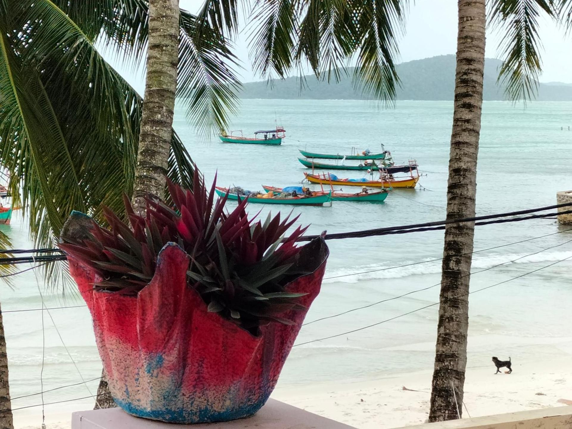 surrounding environment