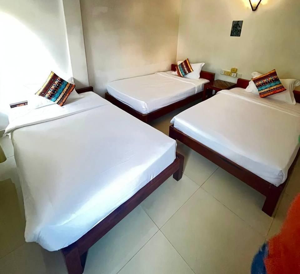 Basic Triple Room