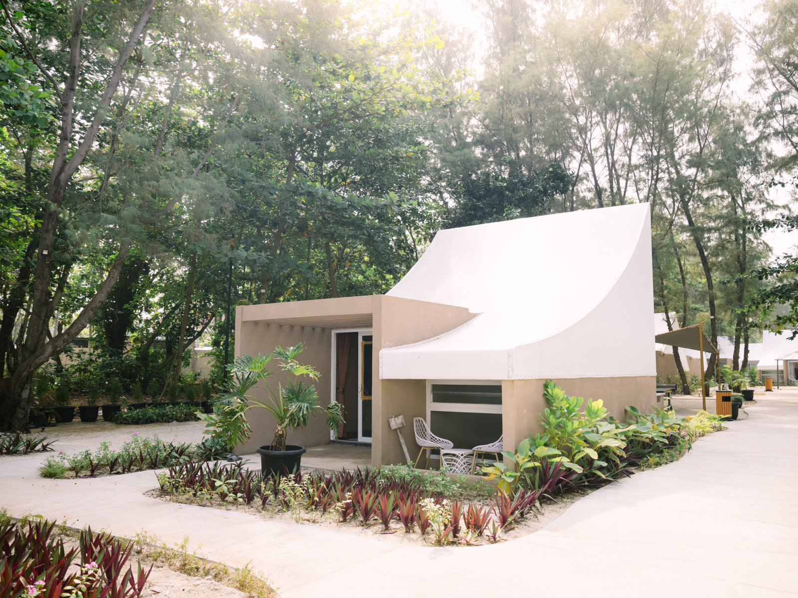 Asha Beach Club & Resort Deluxe 2