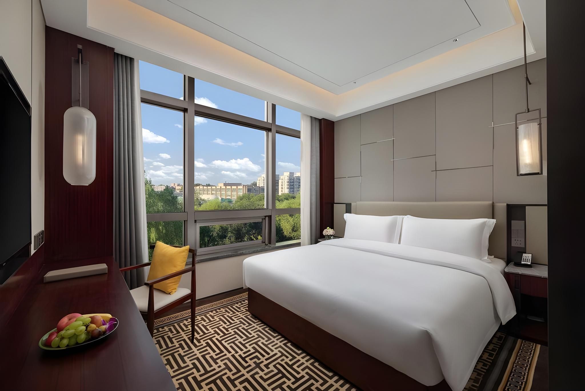 Executive Business Single Room