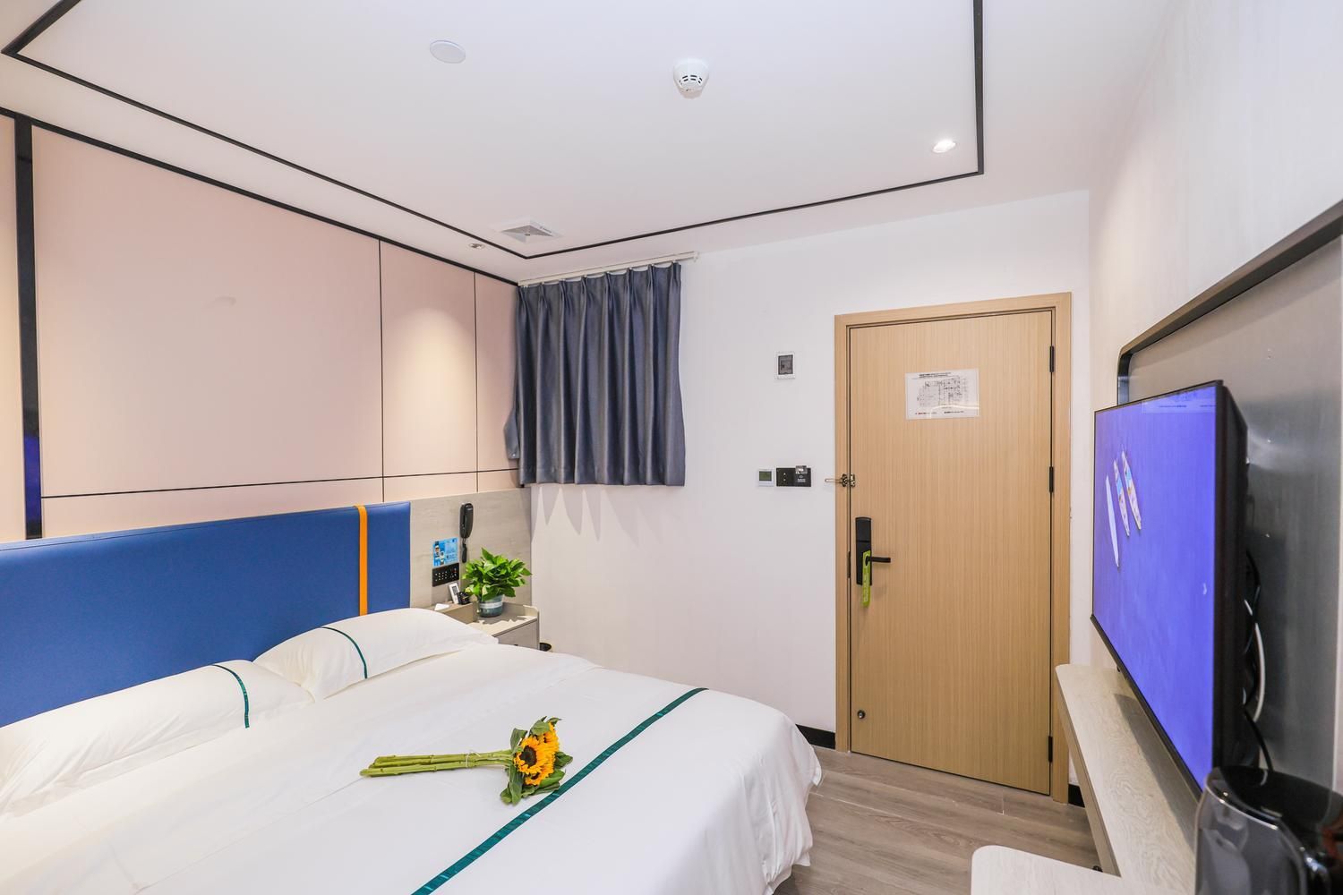 Promotion Room-Special offer