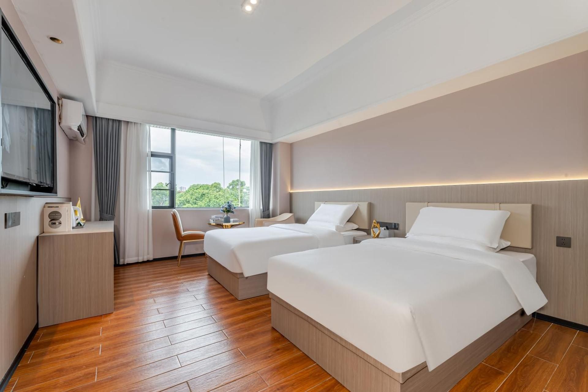 Deluxe Double or Twin Room with City View
