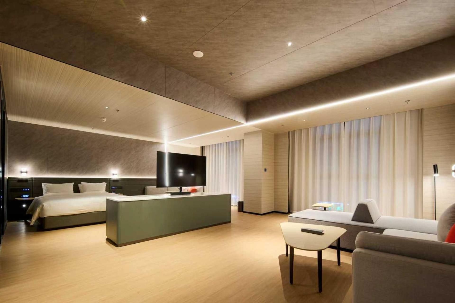 Standard Suite One King Bed and A Sofa