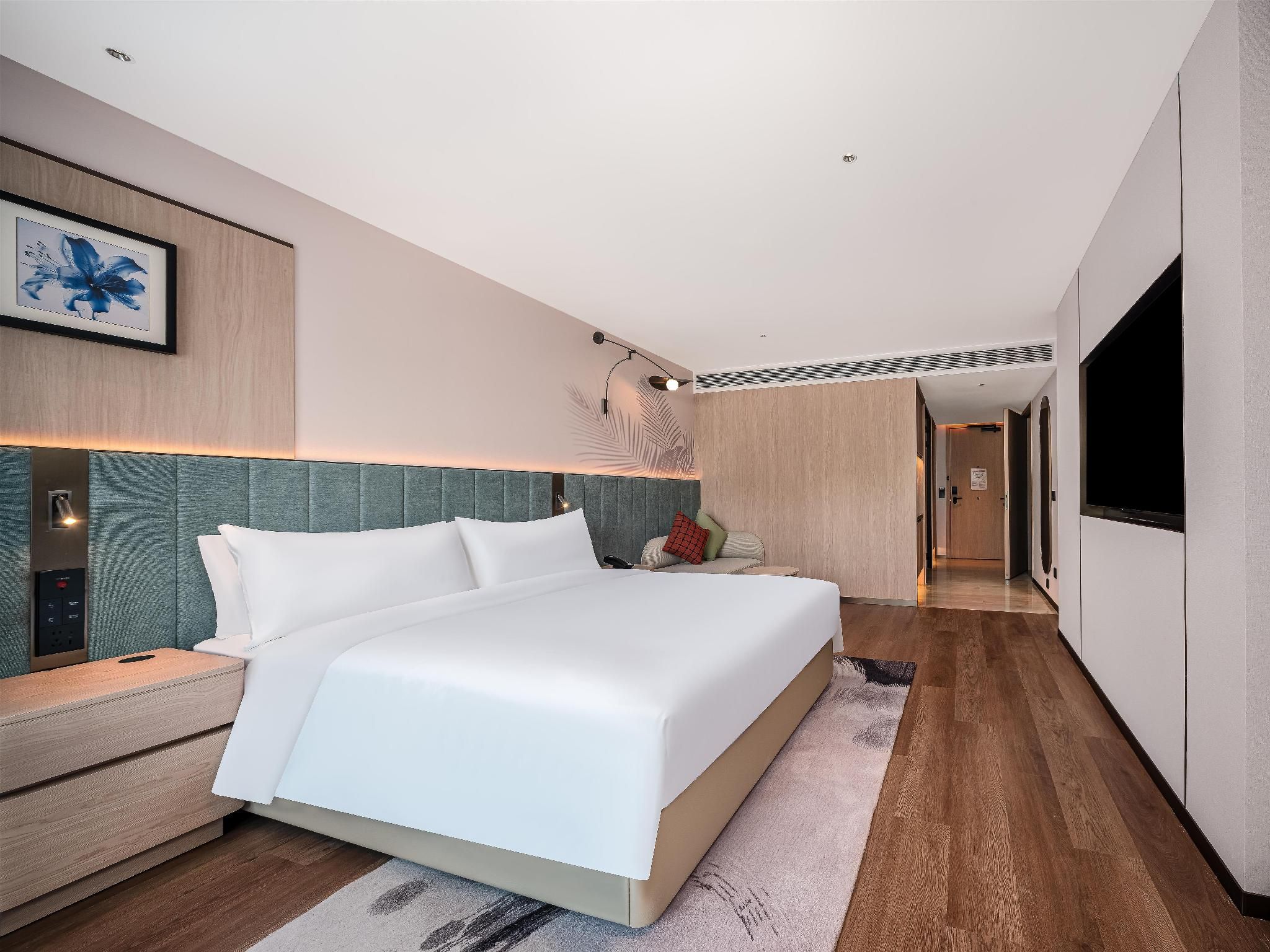 King Accessible Room