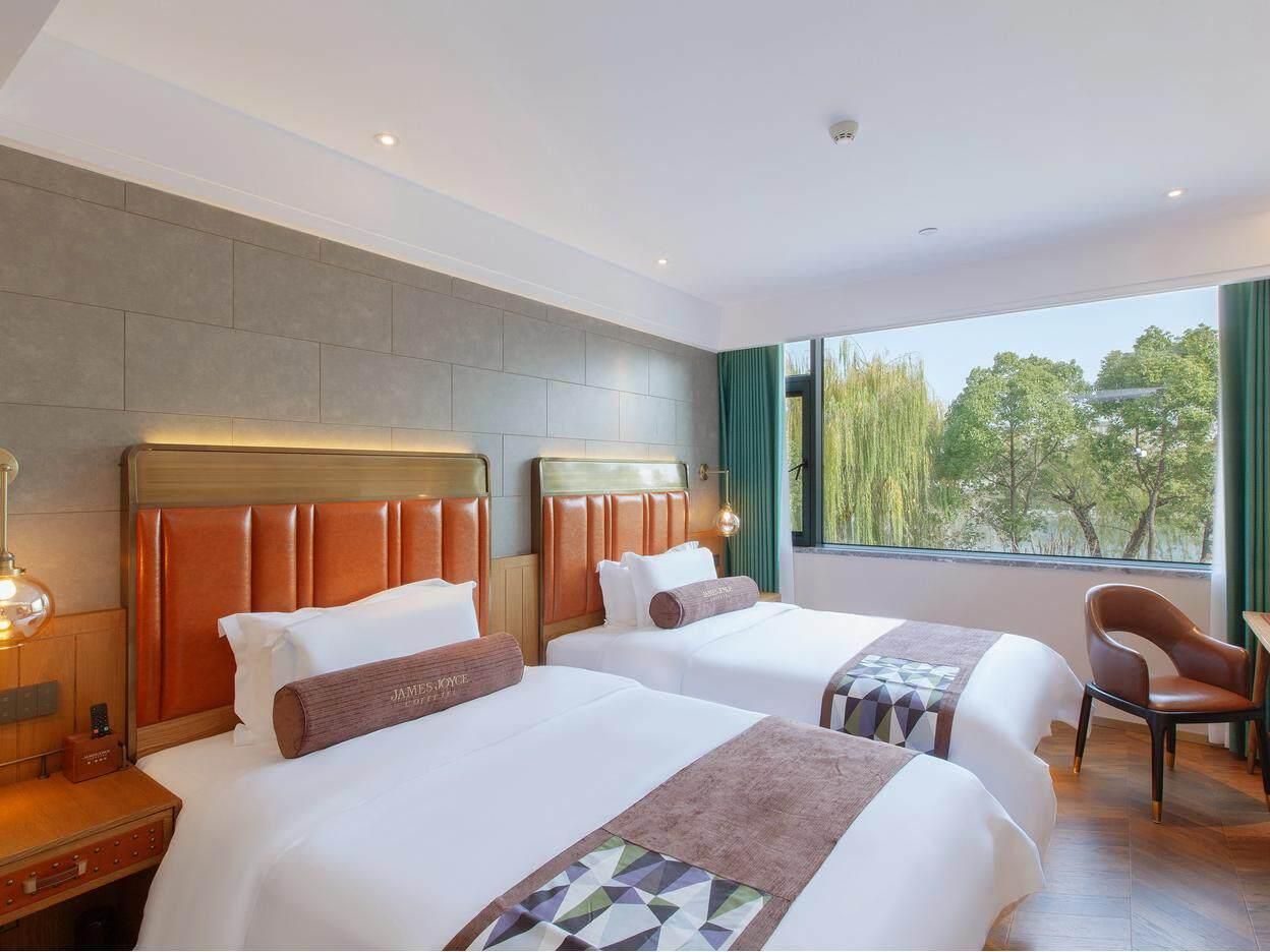 James Joyce - Twin with View