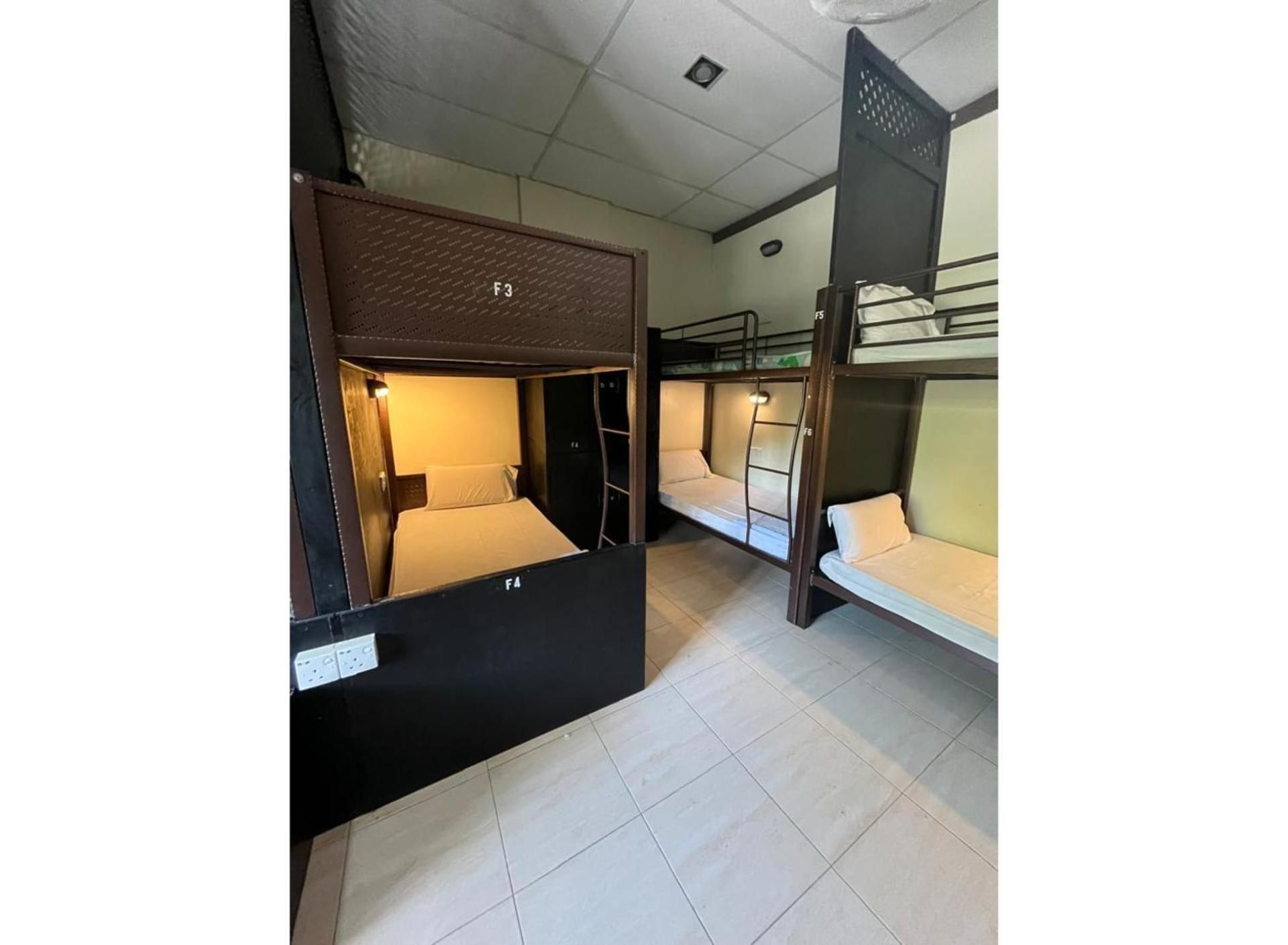 Bunk Bed in Mixed Dormitory Room