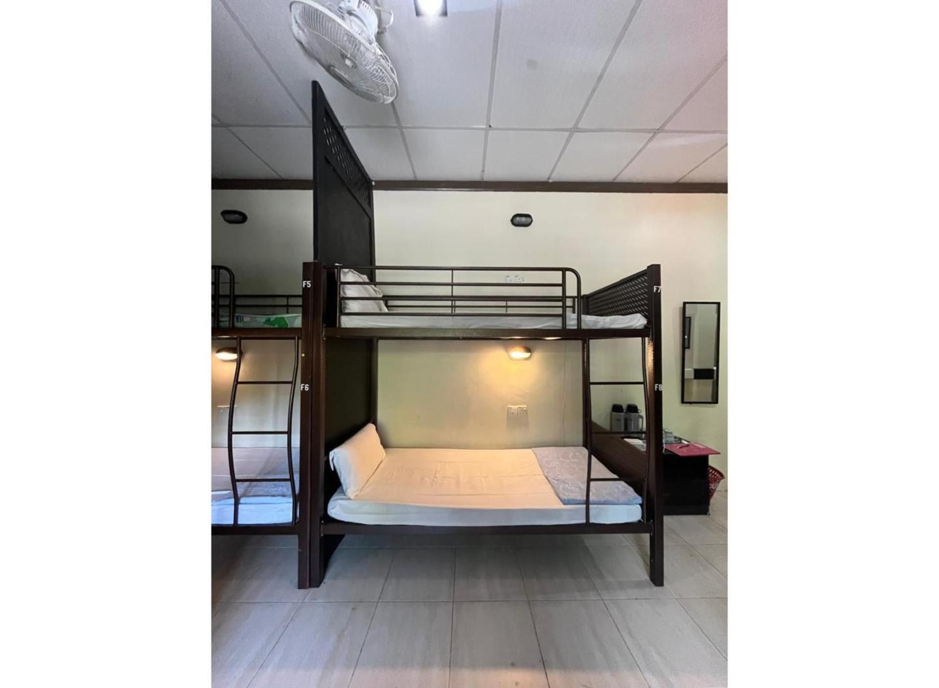 Bunk Bed in Mixed Dormitory Room