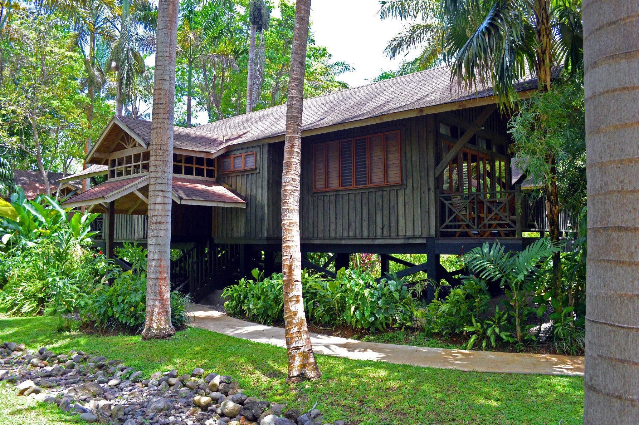 Treetop 1-Bedroom Suite