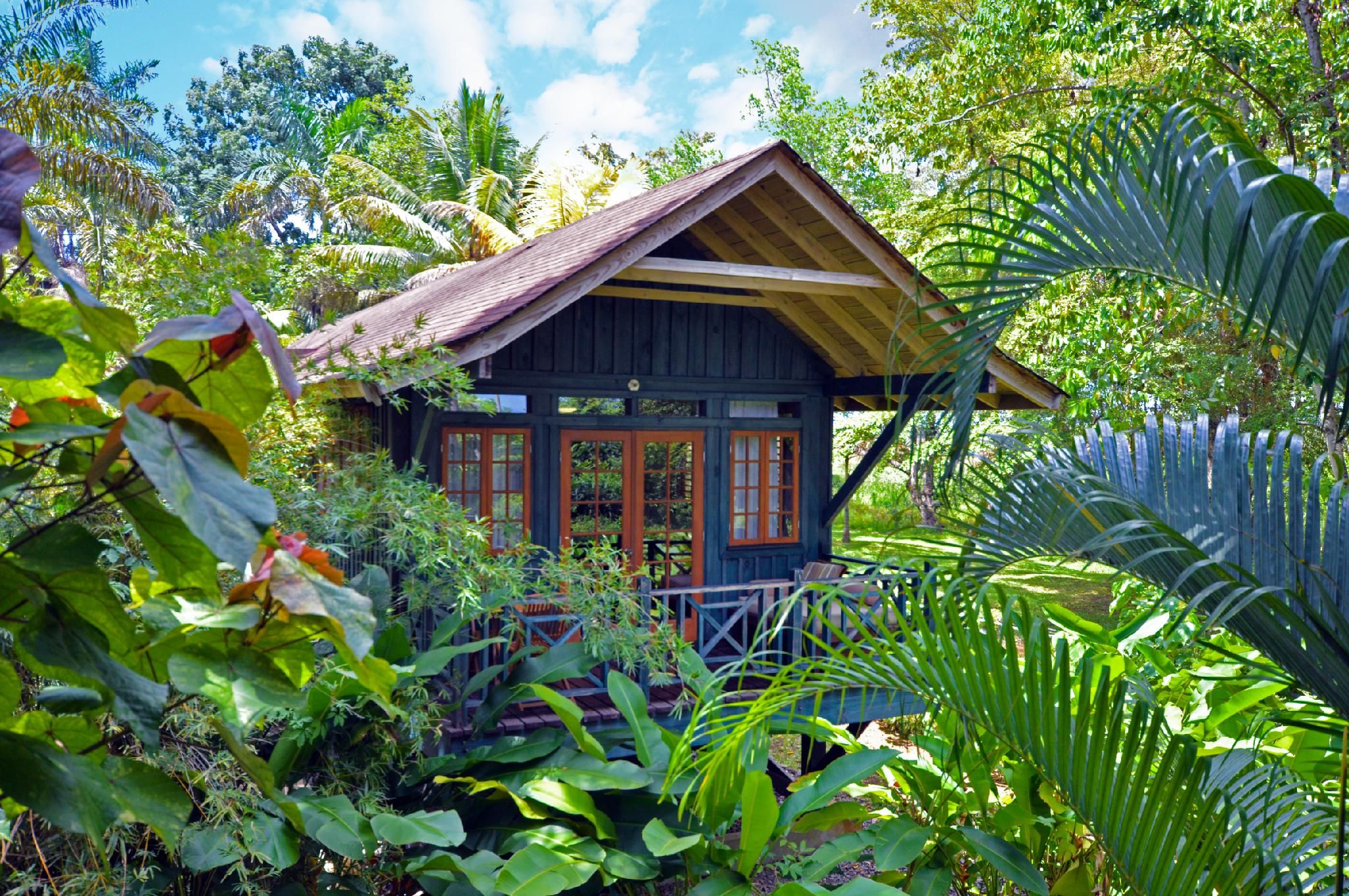 Treetop Deluxe Room